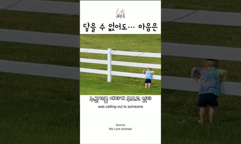 말과 아이, 말없이 통했던 특별한 마음