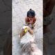 Bahari Logo Se Pyaar Aur Ghar Ke Logo Se Takrar 😂 #dog #minivlog #shorts #shihtzu