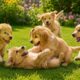 🐶🌼 Cheerful Puppies Having Fun Outdoors – Relaxing Dog Video Collection