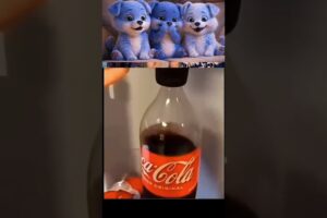 Cute Puppies Funniest Reactions Ever 😂🔥 #shorts