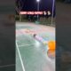Cute Puppies 🥰♥ super funny Corgi ♥ #shorts #2025 #entertainment #trending #fypシ゚viral
