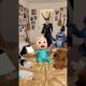 Cute puppies dance with sushininja &dog.#shorts #cuteanimals #puppies#funny@cholelovely-f6n