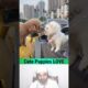 Cutest Puppies Loving Moment 💕 #cutepuppies #funnydogs #dogslove #love #funnyanimals #shorts