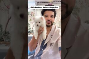 Did TejRan Adopt the Cutest Puppy Ever 🐶 #tejran #karankundra #tejasswiprakash #puppy