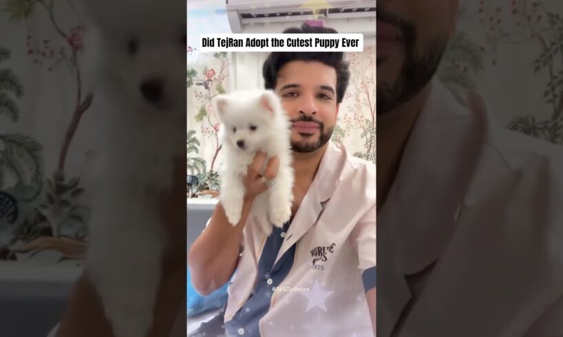 Did TejRan Adopt the Cutest Puppy Ever 🐶 #tejran #karankundra #tejasswiprakash #puppy
