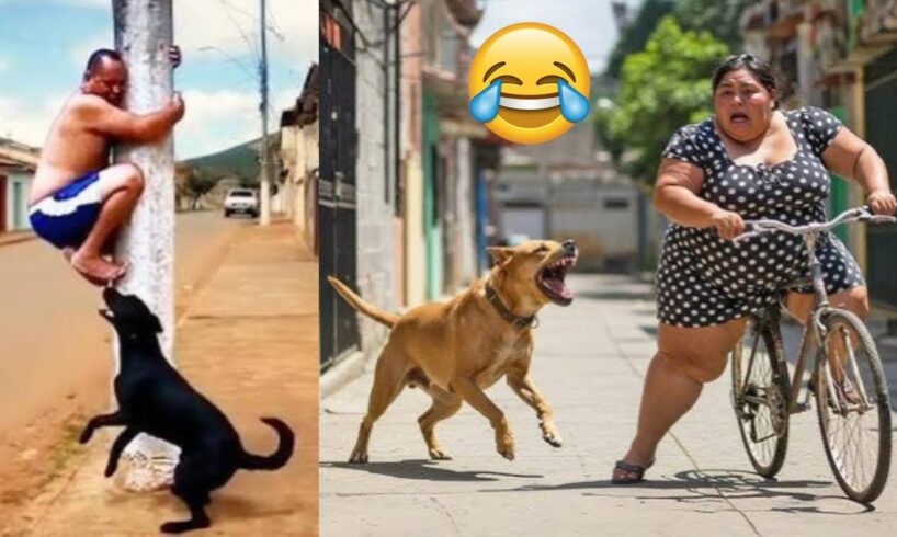 Fails Of The Week 🤣 Best Funny Videos Compilation: Try Not To Laugh | People Failing Hilariously