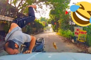 Funniest Fails of the Week #22 | Try Not to Laugh Compilation