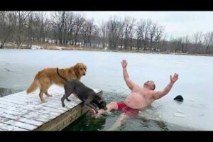 Funny Fails of the Week 😂 | Most Hilarious Viral Videos & Epic Try Not To Laugh Challenge 2026