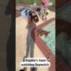 Hero dog rescues frog! 😆 #shorts #pets