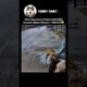 Hero dog saves owner and child seconds before disaster #petsunited #pets #pomeranian #funnydogs