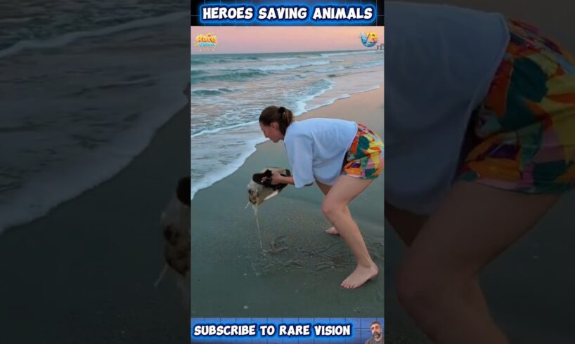 Heroes Among Us: 15 Most Heartbreaking Animal Rescues 🐾 | Part 27