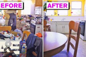 Hoarders: Hoarding Triggered By Loss — Part 4 | A&E