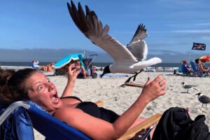 Instant Regret Came For Them | Funniest Fails Compilation