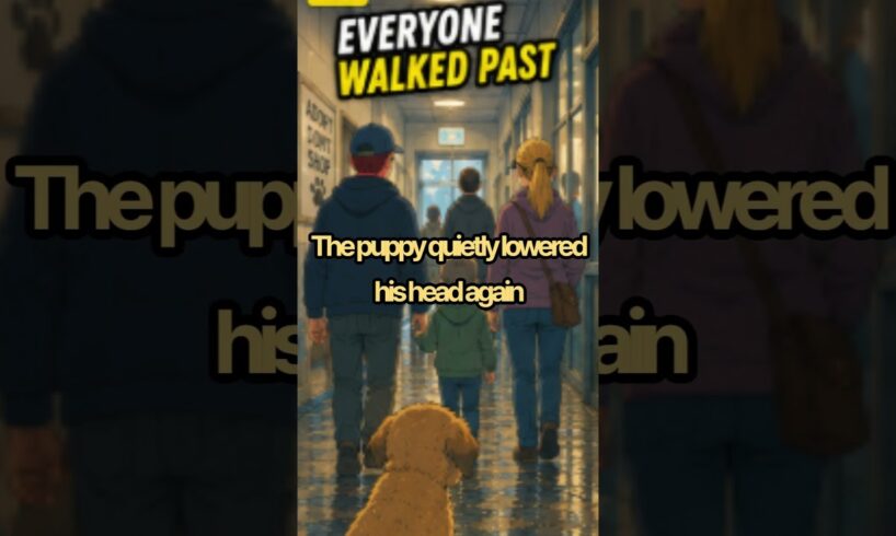 “Nobody Wanted Him… Until They Saw THIS”1  #AnimalRescue #PuppyStory #CuteAnimals #EmotionalStory