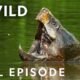 The Mighty Mississippi (Full Episode) | America the Beautiful | Nat Geo Animals