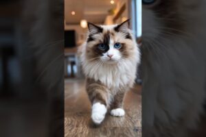 The Most Beautiful Cat You’ll See Today! 🐱 #shorts #animals #rescue #dogrescue #ai