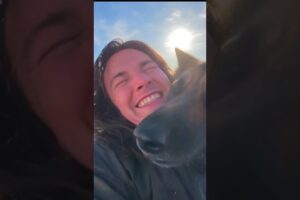 This Emotional Fox Rescue Will Make You Cry 😭🦊