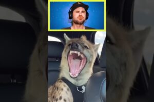 Try Not to Laugh Challenge 😅 | Part 119