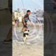 cute puppies adorable video #puppy #cute #cutedog #dog #shorts