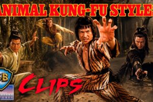 動物拳法對決 | Animal Fighting Styles | Shaw Brothers Clips