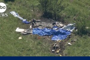 12 killed in skydiving plane crash