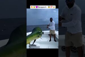 People are Awesome🇺🇸🇺🇸 #aura #skills #trickshot #talentotiktok #peopleareawesome#shorts #respect