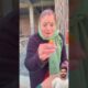 @thebnbrothers duckling saves seriously injured cat #duckrescue #cuteanimals #animal rescue part 227