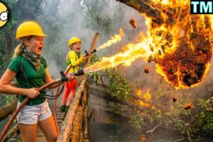 TOTAL IDIOTS AT WORK / Instant Regret Fails Compilation 2026 /Best Fails of the Week #388
