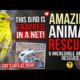 5 Heartbreaking Animal Rescues That Will Restore Your Faith In Humanity 🥺❤️