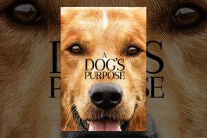 A Dog's Purpose