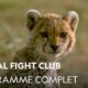 Animal Fight Club | De l'Afrique à l'Australie | Programme complet