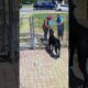 Cane Corso Vs Delivery Guy!