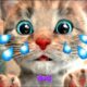Cute Kitten Little Cat Adventure with MEOW🐱📚Play Fun Pet Care & Preschool Educational game for kids