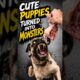 Cute Puppies Transform Into Monsters ‼️😱 #shorts #dogs