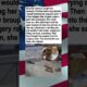 Dog Fights 12-Foot Alligator For Her Puppies