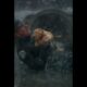 Emotional Animal Rescue Story ❤️ #viral #foryou