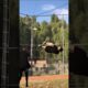 Funniest Fails of the Week! Try Not to Laugh 🤣 #funnyfails #viralshorts