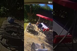 Funniest Security Camera Fails Of The Month 📹