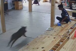 Hilarious Security Camera Fails 🕵️‍♀️