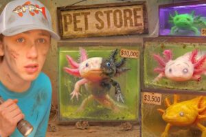 I Found an Abandoned Axolotl Pet Store...