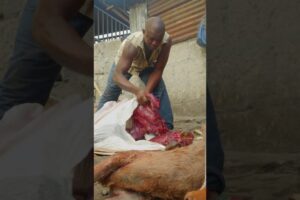 ILLEGAL Bushmeat at Kumasi Market (GHANA) 🇬🇭⚠️
