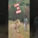 Lion vs Man " Confronting the Deadliest Lions on Earth #trending #animalkingdom #lion #viralshort