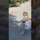 Monkey LyLy went to buy cake herself #shorts #monkey #youtubeshorts #viral #petmonkey #animals