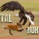 Most Brutal Eagle Hunting Moments in the Wild | Animal Fights | Africa 4K