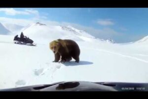 NEAR DEATH Experiences Caught On Tape Video #2