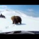 NEAR DEATH Experiences Caught On Tape Video #2