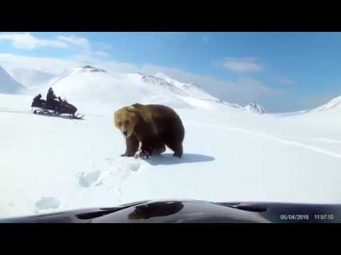 NEAR DEATH Experiences Caught On Tape Video #2