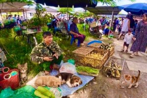 No Birds Today? But I Found Extremely Cute Puppies At This Vietnamese Market