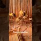 Playing #dog #dogfunny #dogvideo