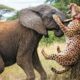 Quand Les Animaux S’Attaquent Au Mauvais Adversaire… (Filmés En Direct) !